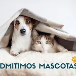 Campsite Y Solopuent *