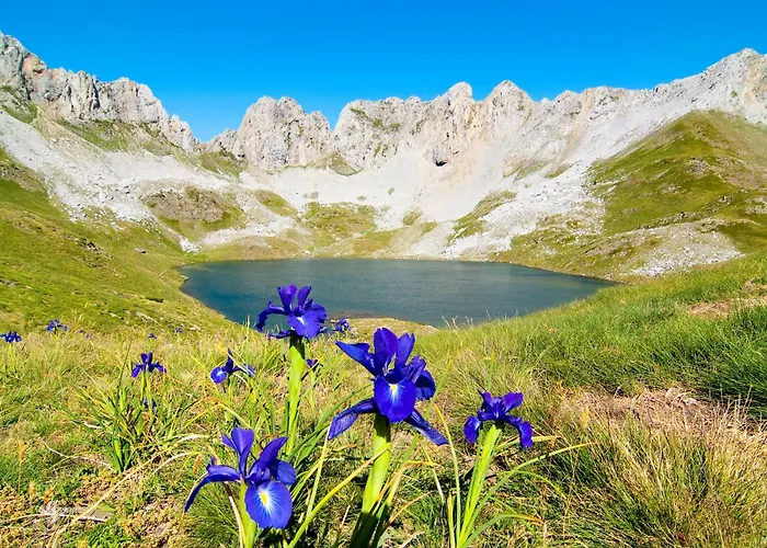 Y Solopuent * Castiello de Jaca